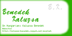 benedek kaluzsa business card